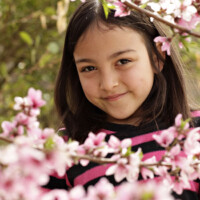 General photography at the Greenhouse on Woodland, Pinetop/ Lakeside Arizona's premiere destination wedding venue